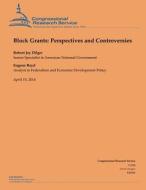Block Grants: Perspectives and Controversies di Robert Jay Dilger, Eugene Boyd edito da Createspace