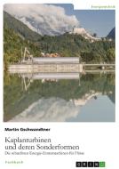 Kaplanturbinen und deren Sonderformen di Martin Gschwandtner edito da GRIN Verlag