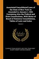 Annotated Consolidated Laws Of The State Of New York As Amended To January 1, 1910, Containing Also The Federal And State Constitutions, With Notes Of di Clarence Frank Birdseye, New York, Frank Bixby Gilbert edito da Franklin Classics Trade Press