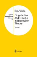 Singularities and Groups in Bifurcation Theory di Martin Golubitsky, David G. Schaeffer edito da Springer New York