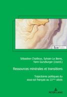 Ressources minérales et transitions edito da Peter Lang