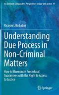 Understanding Due Process in Non-Criminal Matters di Ricardo Lillo Lobos edito da Springer International Publishing