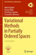 Variational Methods in Partially Ordered Spaces di Alfred Göpfert, Constantin Z¿linescu, Christiane Tammer, Hassan Riahi edito da Springer International Publishing