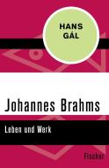 Johannes Brahms - Leben und Werk di Hans Gál edito da FISCHER Taschenbuch
