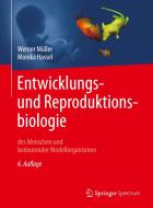 Entwicklungsbiologie und Reproduktionsbiologie des Menschen und bedeutender Modellorganismen di Werner A. Müller, Monika Hassel edito da Springer-Verlag GmbH
