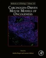 Carcinogen-Driven Mouse Models Of Oncogenesis edito da Elsevier Science Publishing Co Inc