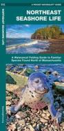 Northeast Seashore Life: A Waterproof Folding Guide to Familiar Animals & Plants North of Massachusetts di James Kavanagh, Waterford Press edito da WATERFORD PR