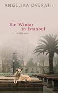 Ein Winter in Istanbul di Angelika Overath edito da Luchterhand Literaturvlg.