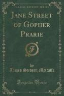 Jane Street Of Gopher Prarie (classic Reprint) di James Stetson Metcalfe edito da Forgotten Books