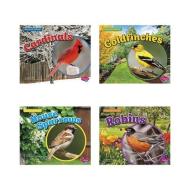 Backyard Birds di Lisa J. Amstutz edito da CAPSTONE PR