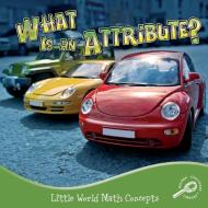 What Is an Attribute? di Nancy Kelly Allen edito da Rourke Publishing (FL)