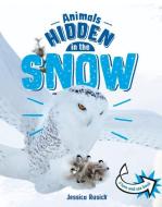 Animals Hidden in the Snow di Jessica Rusick edito da PEBBLE BOOKS