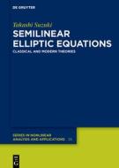 Semilinear Elliptic Equations di Takashi Suzuki edito da De Gruyter