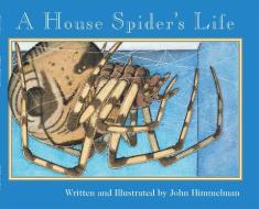 A House Spider's Life (Nature Upclose) di John Himmelman edito da CHILDRENS PR