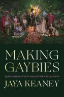 Making Gaybies: Queer Reproduction and Multiracial Feeling di Jaya Keaney edito da DUKE UNIV PR