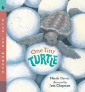 One Tiny Turtle di Nicola Davies edito da CANDLEWICK BOOKS