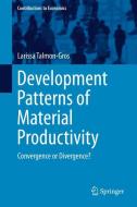 Development Patterns of Material Productivity di Larissa Talmon-Gros edito da Springer International Publishing
