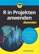 R in Projekten anwenden für Dummies di Joseph Schmuller edito da Wiley VCH Verlag GmbH