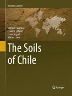 The Soils of Chile di Manuel Casanova, Walter Luzio, Osvaldo Salazar, Oscar Seguel edito da Springer Netherlands