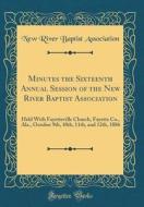 Minutes the Sixteenth Annual Session of the New River Baptist Association: Held with Fayetteville Church, Fayette Co., ALA., October 9th, 10th, 11th, di New River Baptist Association edito da Forgotten Books