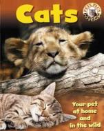 Cats di Sally Morgan edito da Hachette Children's Books