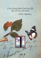 Butterfly & Window - Greeting Card di Arthur Rubinstein edito da Laughing Elephant