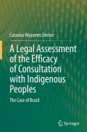 A Legal Assessment of the Efficacy of Consultation with Indigenous Peoples di Catarina Woyames Dreher edito da Springer Nature Switzerland