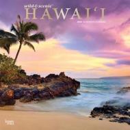 Hawaii Wild & Scenic 2020 Square Foil di Browntrout Publishers Inc edito da Brown Trout