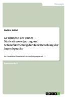 La tchatche des jeunes - Motivationssteigerung und Schüleraktivierung durch Einbeziehung der Jugendsprache di Nadine Seidel edito da GRIN Publishing