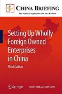 Setting Up Wholly Foreign Owned Enterprises in China edito da Springer-Verlag GmbH