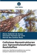 Cellulose-Nanostrukturen aus lignozellulosehaltigen Reststoffen di Alana Gabrieli de Souza edito da Verlag Unser Wissen