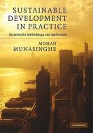 Sustainable Development in Practice di Mohan Munasinghe edito da Cambridge University Press