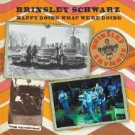 Brinsley Schwarz di John Blaney edito da Paper Jukebox