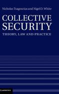 Collective Security di Nicholas Tsagourias, Nigel D. White edito da Cambridge University Press