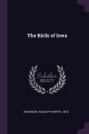The Birds of Iowa di Rudolph Martin Anderson edito da CHIZINE PUBN