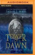 Tower of Dawn di Sarah J. Maas edito da Audible Studios on Brilliance