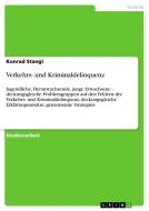 Verkehrs- und Kriminaldelinquenz di Konrad Stangl edito da GRIN Publishing