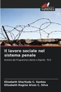 Il lavoro sociale nel sistema penale di Elizabeth Sharllyda C. Santos, Elisabeth Regina Alves C. Silva edito da Edizioni Sapienza