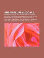 Ansambluri Muzicale: Forma Ii Muzicale, di Surs Wikipedia edito da Books LLC, Wiki Series