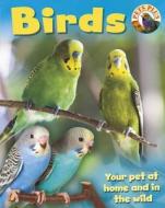 Birds di Sally Morgan edito da Hachette Children's Books