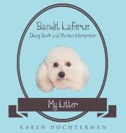 Bandit Laferue di Karen Dochterman edito da Page Publishing, Inc.
