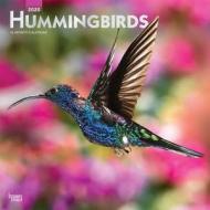Hummingbirds 2020 Square Wall Calendar di Inc Browntrout Publishers edito da Brown Trout