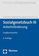 Sozialgesetzbuch III edito da Nomos Verlagsges.MBH + Co