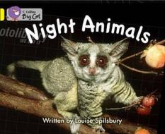 COLLINS BIG CAT NIGHT ANIMALS di Louise A. Spilsbury edito da HARPERCOLLINS UK