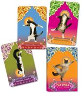 Cat Yoga Postcards di Rick Tillotson edito da POTTERSTYLE