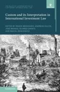 Custom and Its Interpretation in International Investment Law: Volume 2 edito da CAMBRIDGE