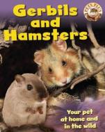 Gerbils And Hamsters di Sally Morgan edito da Hachette Children's Books