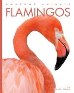 Flamingos di Riggs Kate edito da CREATIVE CO