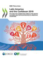 Latin America And The Caribbean 2019 di Organisation for Economic Co-operation and Development edito da Organization For Economic Co-operation And Development (oecd