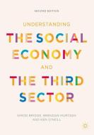 Understanding the Social Economy and the Third Sector di Simon Bridge, Brendan Murtagh, Ken O'Neill edito da Macmillan Education UK